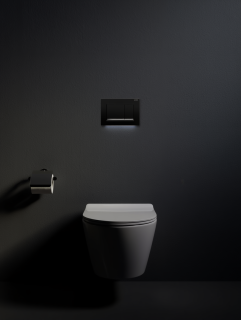 Кнопка GEBERIT Omega 30 115.080.KM.1 для инсталляции черная