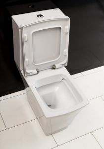 Чаша унитаза напольного BelBagno Regina BB104CP