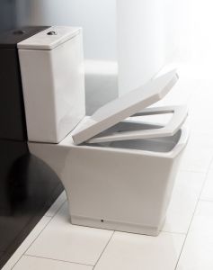Чаша унитаза напольного BelBagno Regina BB104CP