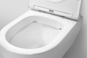 Унитаз подвесной Am.Pm Inspire FlashClean C501700WH