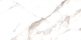Керамический гранит Azario СТАТУАРИО ПАЦИФИК P4110821140 60х120 глянцевый карвинг