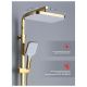 Душевая стойка Raglo R02.24.23 золотой сатин