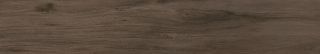 SG514820R Сальветти капучино обрезной 20x119,5x0,9