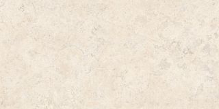 Керамогранит Vitra K958161R0001VTER Спастоун Кампосперо Матовый 60x120