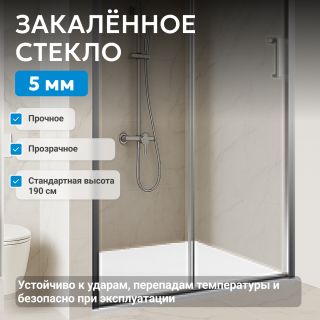 Душевая дверь ABBER Schwarzer Diamant AG301205 120 см профиль хром стекло прозрачное