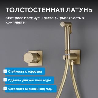 Гигиенический душ со смесителем ABBER Rund AF8725G золото матовое