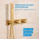 Душевой комплект ABBER Rund AF8750G с термостатом золото матовое