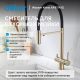 Смеситель для кухни ABBER Wasser Kreis AF81141G с подключением фильтра и выдвижной лейкой золото матовое
