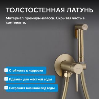 Гигиенический душ со смесителем ABBER Wasser Kreis AF8125G золото матовое