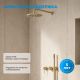 Душевой комплект ABBER Wasser Kreis 316 AF8118BG брашированное золото