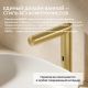 Смеситель для раковины ABBER Perfekte 316 AF8A101BGS золото брашированное