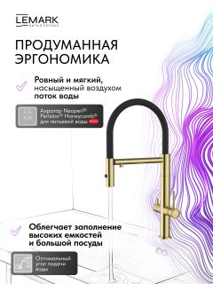 Смеситель для кухни Lemark Зенит LMF-1676S-BRGN с гибким изливом и подключением к фильтру питьевой воды золото брашированное/чёрный
