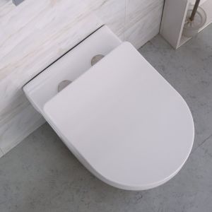 Унитаз подвесной BelBagno Loto BB070CHR/SC с сиденьем