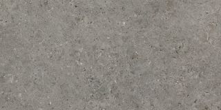Керамическая плитка Living Ceramics LV10448 Beren Dark Grey Anti-Slip 60x120