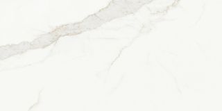 Керамическая плитка Living Ceramics LV10625 Blanc Calacatta Gold Soft 60x120