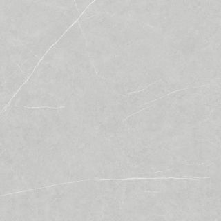 Керамическая плитка Living Ceramics LV11108 Allure Light Grey Anti-Slip 120x120
