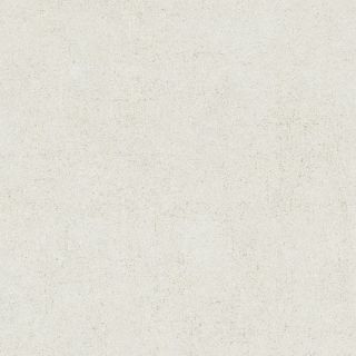 Керамическая плитка Living Ceramics LV11198 Cuit Bone Anti-Slip 60x60