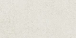 Керамическая плитка Living Ceramics LV11273 Cuit Bone Anti-Slip 60x120