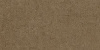 Керамическая плитка Living Ceramics LV11281 Cuit Terra Ductile 60x120