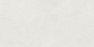 Керамическая плитка Living Ceramics LV11451 Floss Bone Anti-Slip 60x120