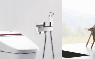 Гигиенический душ с термостатом Rose R965 хром Гигиенический душ с термостатом Rose R965 хром