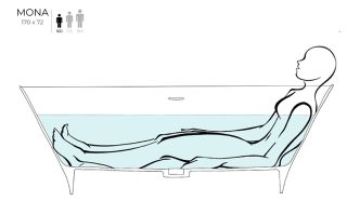 Ванна из искусственного камня Salini Mona S-Stone 102922MRF 170x72см RAL полностью Ванна из искусственного камня Salini Mona S-Stone 102922MRF 170x72см RAL полностью