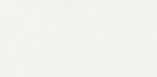 Керамогранит NEODOM N110011 Aston White Matt 60x120