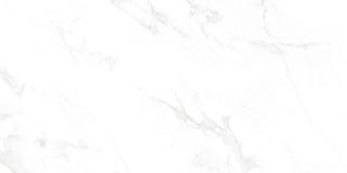 Керамогранит NEODOM N12003 Venus Bianco Polished 60x120