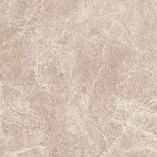 Керамогранит NEODOM N20461 Emperador Taupe Polished 120x120