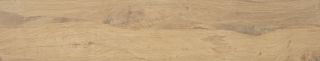 Керамическая плитка STN Ceramica N30052 Dexter Roble 23x120