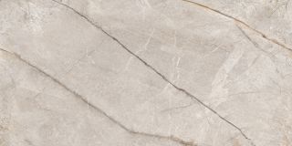 Керамогранит NEODOM N80016 Silver Stone Matt Carving 60x120
