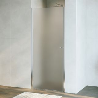 Душевая дверь RGW Dolphin TN-03 54930309-101 90 см профиль хром стекло фабрик