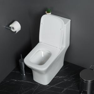 Унитаз BelBagno NEON BB8617CPR-MN/SC с сиденьем Микролифт