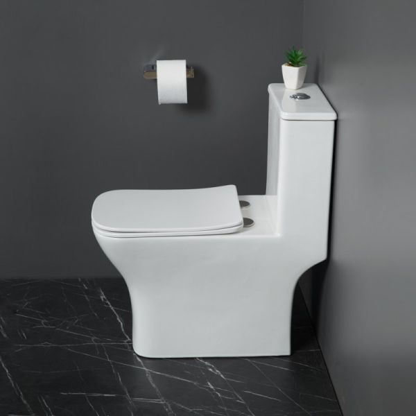 Унитаз BelBagno NEON BB8617CPR-MN/SC с сиденьем Микролифт Унитаз BelBagno NEON BB8617CPR-MN/SC с сиденьем Микролифт