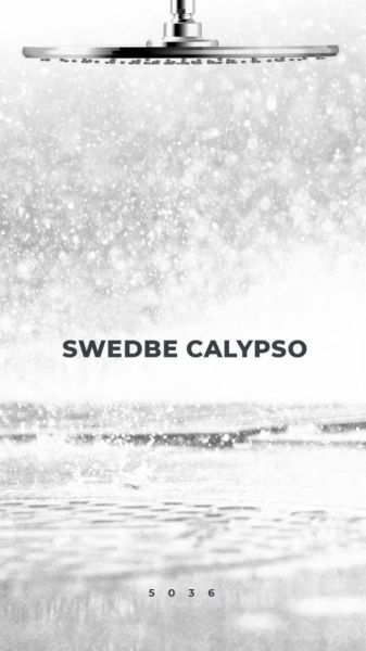 Верхний душ Swedbe Calypso 5036 с 3D дизайном 30см хром Верхний душ Swedbe Calypso 5036 с 3D дизайном 30см хром