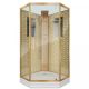 Душевая кабина Niagara Lux NG-7717GBK 100x100 см