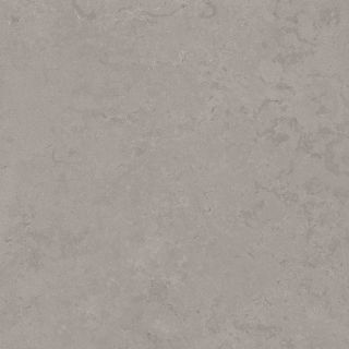 DD640820R Про Лаймстоун серый темный натуральный обрезной 60x60x0,9 (1,44)