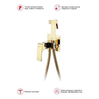 Гигиенический душ со смесителем Raglo R01.52.23 золото
