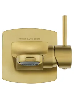 Смеситель для раковины Wonzon & Woghand WW-88869031-1-BG брашированное золото