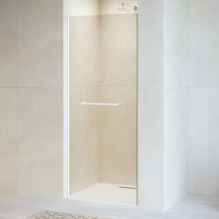 Душевая дверь RGW PA-103W 020810309-15 90см белый