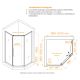Душевой уголок RGW PA-86S 38088600-111N 100x100 см профиль сатин стекло прозрачное
