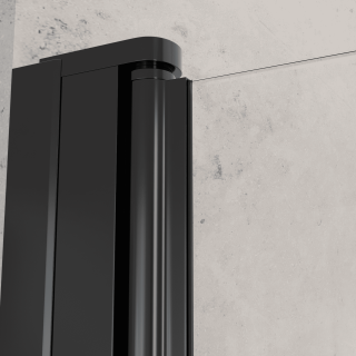 Душевая дверь RGW Dolphin TN-03B 54930309-14 90 см профиль чёрный стекло прозрачное