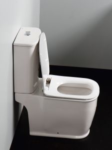 Унитаз-компакт BelBagno напольный белый Prado BB10150CP