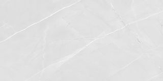 Керамогранит Absolut Gres PRO 1166G Armani Bianco 120x60см полированный