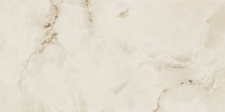 Керамогранит Absolut Gres PRO 1212G Silk Onix 120x60см полированный