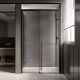 Душевая дверь Veconi Premium Trento PTD-30B, 1500х2000, черный матовый, стекло прозрачное Душевая дверь Veconi Premium Trento PTD-30B, 1500х2000, черный матовый, стекло прозрачное