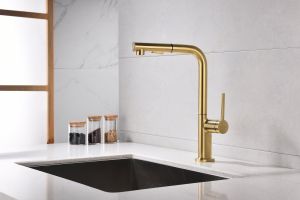 Смеситель для кухни Paulmark Neo Ne214419-SBG светлое брашированное золото