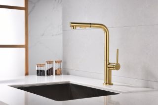 Смеситель для кухни Paulmark Neo Ne214419-SBG светлое брашированное золото Смеситель для кухни Paulmark Neo Ne214419-SBG светлое брашированное золото
