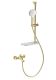 Смеситель для ванны с душевым гарнитуром Wonzon & Woghand Alfa WW-AE3201-BG брашированное золото