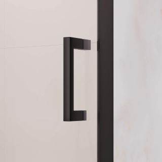 Душевая дверь RGW PA-008B 350800801-24 100 см профиль чёрный стекло матовое-сатинат